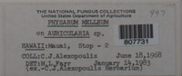 Image Associated With the Occurence